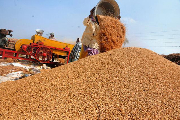 Food & Spices Industry